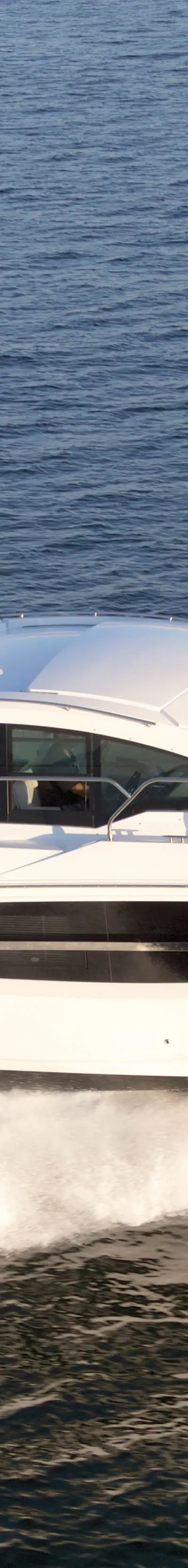42 Cantius marketing photo
