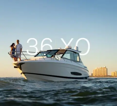 36 XO marketing photo