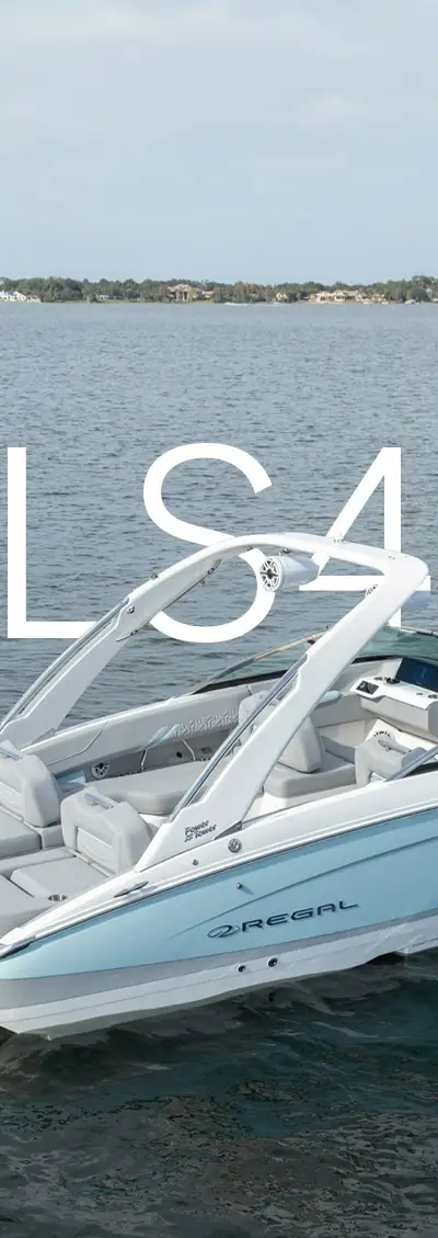 LS4 marketing photo