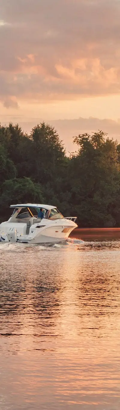 Sundancer 320 Outboard marketing photo