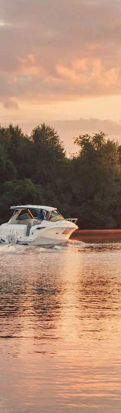 Sundancer 320 Outboard marketing photo