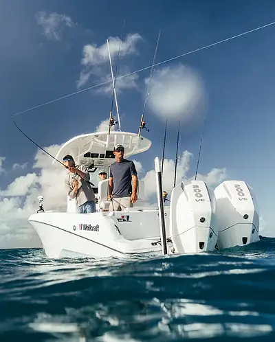 Wellcraft 243 Fisherman marketing photo