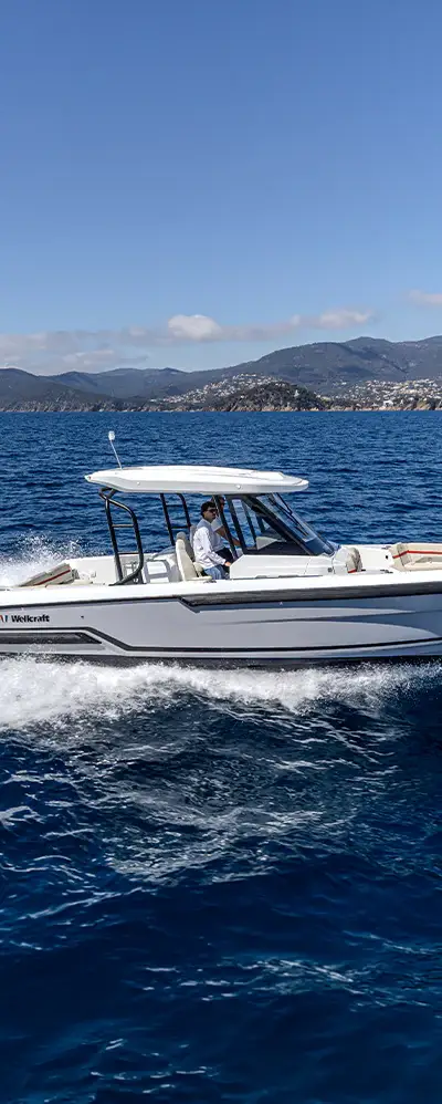 Wellcraft 28 T-Top marketing photo